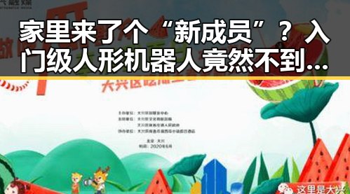 家里来了个“新成员”？入门级人形机器人竟然不到万元！🤖✨