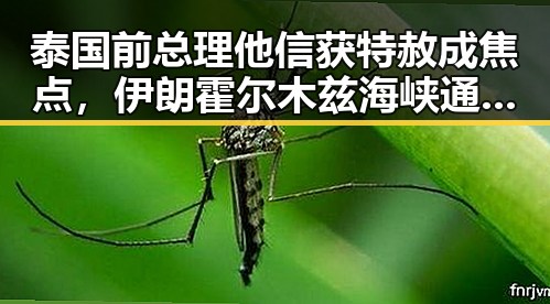 泰国前总理他信获特赦成焦点,伊朗霍尔木兹海峡通行许可开启新窗口
